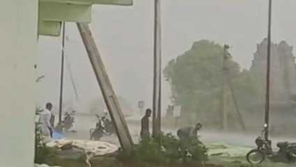 ఎల్లారెడ్డి: ఉరుములు, మెరుపులతో భారీ వర్షం.. తడిసి ముద్దయిన ధాన్యం..!