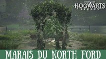 Défi de Merlin Hogwarts Legacy, Marais du North Ford : Comment résoudre toutes les énigmes de la région ?