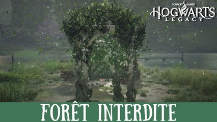 Descargar video: Défi de Merlin Hogwarts Legacy, Forêt interdite : Comment résoudre toutes les énigmes de la région ?