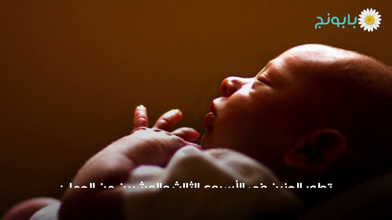 الحمل من الأسبوع الثاني والعشرين إلى الأسبوع الرابع والعشرين (1)