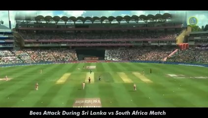 1 in a Trillion Moments in Cricket History