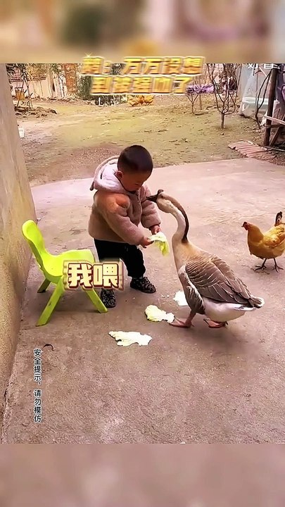 Baby Fight With Duck |Babies Funny Moments | Cute Babies | Naughty Babies | Funny Babies #cutebabies