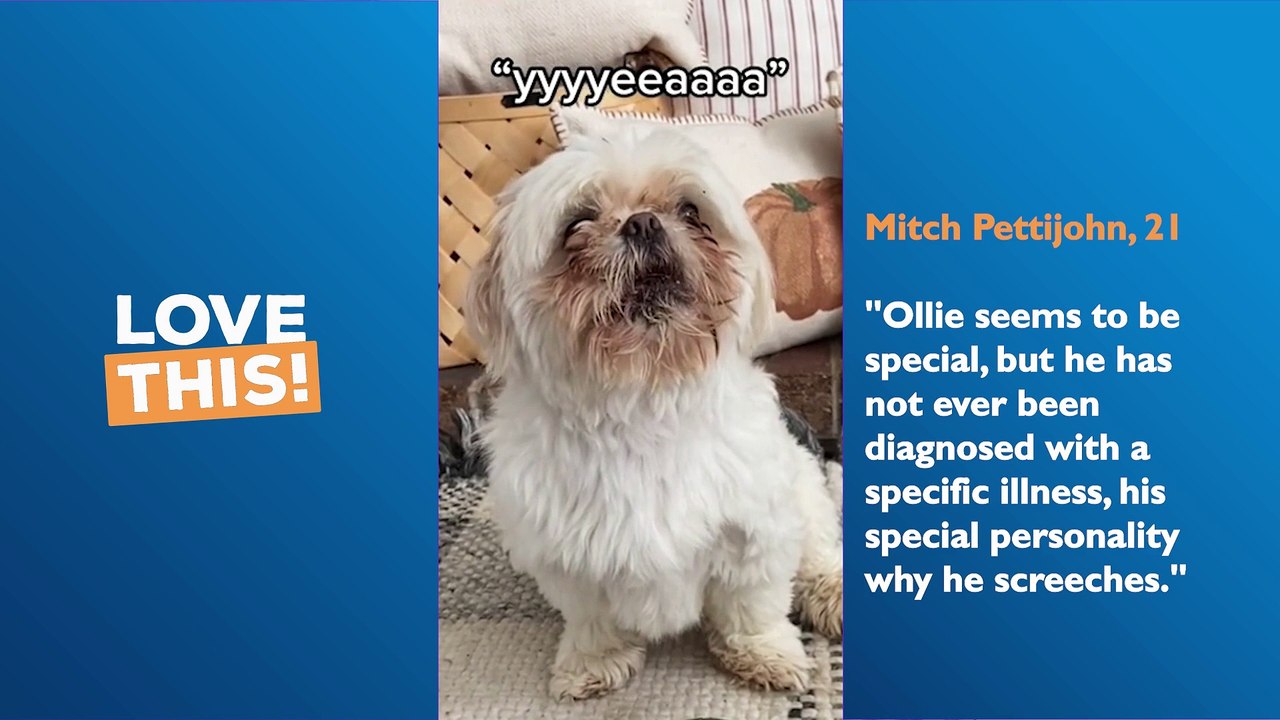This dog sounds like a zombie