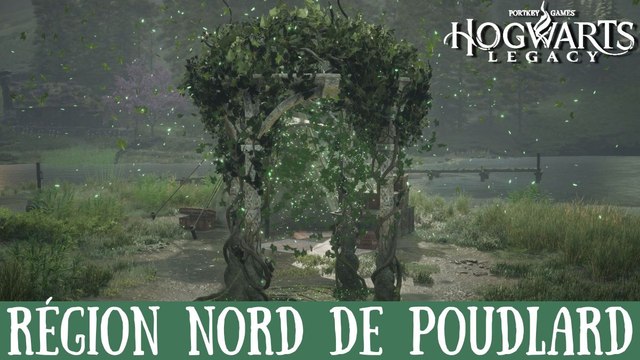 Épreuve de Merlin Hogwarts Legacy, Région nord de Poudlard : Comment résoudre toutes les énigmes de la zone ?