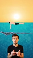 Monstres marins partie 3 (Mozozor)