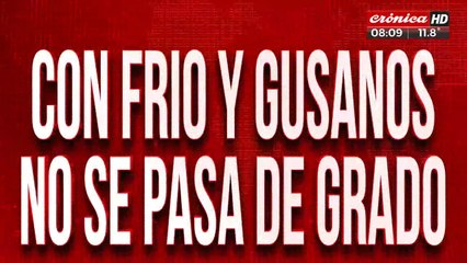 Denuncian falta de gas y entrega de comida en mal estado en un colegio de La Plata