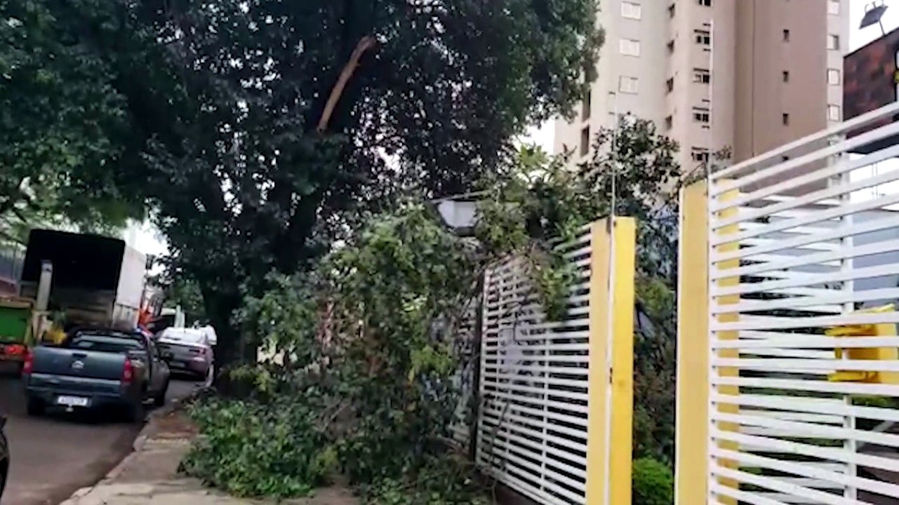 Galho de árvore é arrancado durante temporal e cai sobre estrutura de imóvel no Centro
