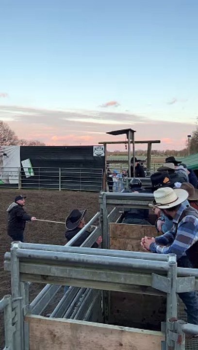 Bucking Bull Riding