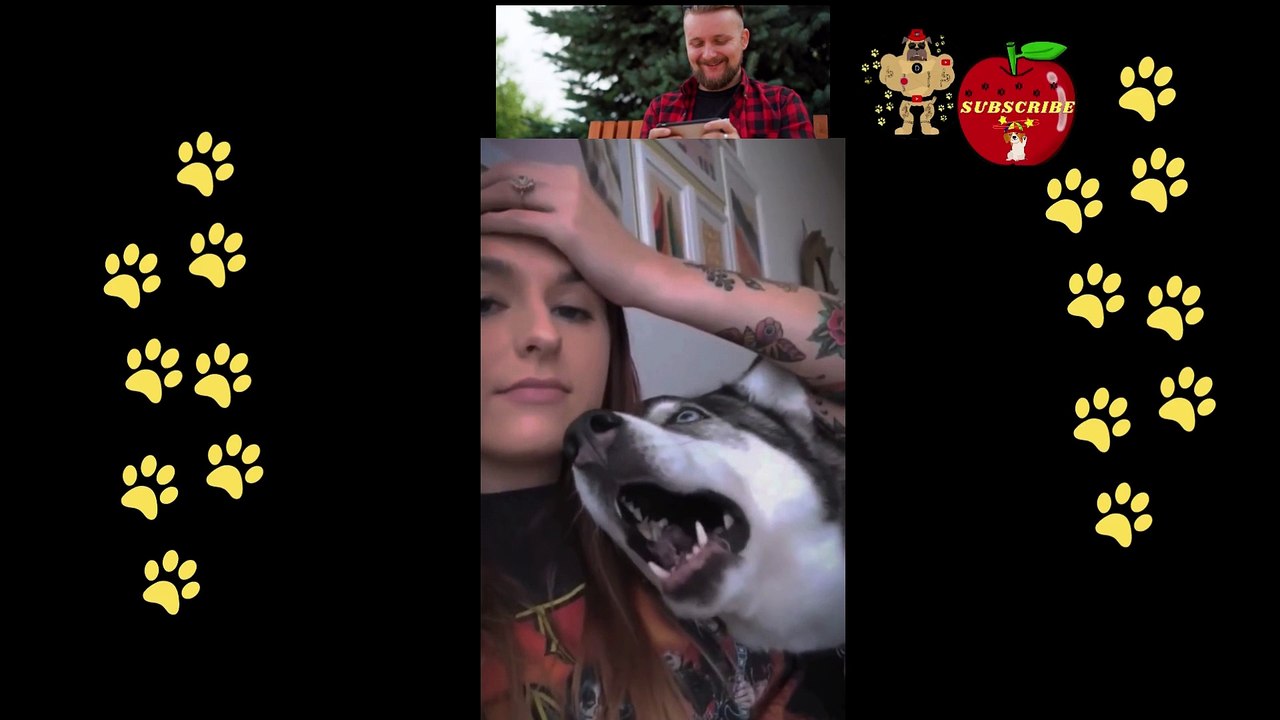 funny dog reaction wants to live in washing machine