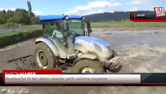 Boyabat'ta 16 bin dekar alanda çeltik ekimine başlandı