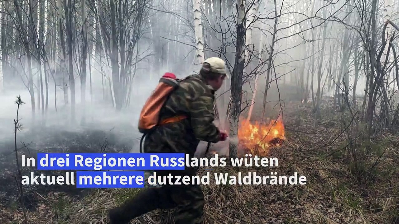 Mindestens ein Toter bei Waldbränden in Russland