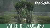 Épreuve de Merlin Hogwarts Legacy, Vallée de Poudlard : Comment résoudre toutes les énigmes de la région ?