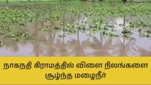 வேலூர்: விளை நிலங்களை சூழ்ந்த மழைநீர் - வேதனையில் விவசாயிகள்!