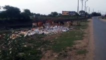 Garbage of marriage gardens being thrown in the open on the roadside, passers-by are getting worried