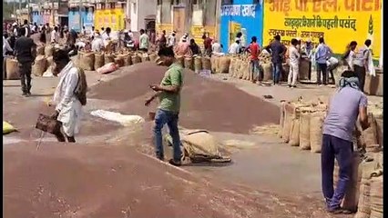 सोयाबीन मंदी, धनिया में तेजी रही