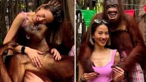 Hayvanat bahçesine giden genç turist orangutanın tacizine uğradı