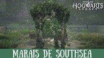 Épreuve de Merlin Hogwarts Legacy, Marais de Southsea : Comment résoudre toutes les énigmes de la région ?
