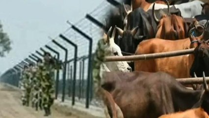 বীজ কেলেঙ্কারি নায়ক উদয়ন গুহ, পর্দা ফাঁস করার হুমকি বিজেপি বিধায়ক নিখিল রঞ্জন দে-র