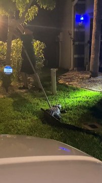 Ce qu'il sort du garage de cette maison de Floride est incroyable : alligator de 5m de long