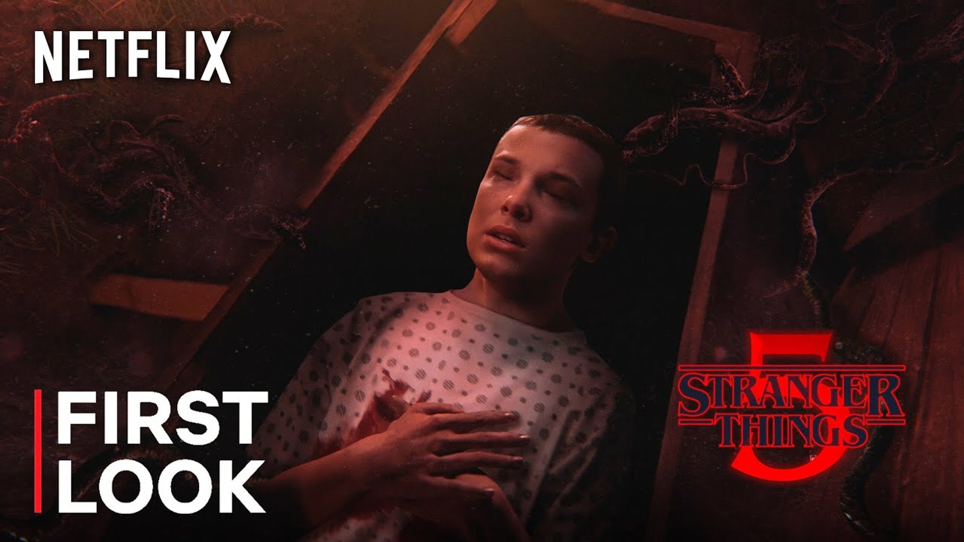 Stranger Things Season 5 Trailer (2022) - Netflix, Release Date, First  Look, Ending Explained,Review - video Dailymotion