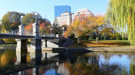 This Iconic Boston Hotel Debuts a New Look Today — With a Chic Bar and Design Inspired by the City's Public Gardens