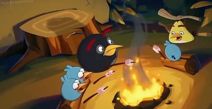 Angry Birds Angry Birds S03 E006 Didgeridork