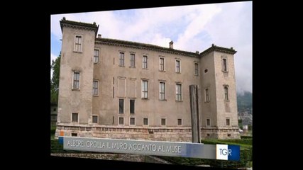 cede muro accanto alle albere