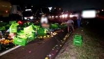 Acidente entre dois caminhões deixa carga de frutas e legumes espalhada  pela pista na BR-277