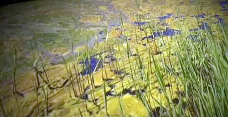 A Lie to Die For S01 E11