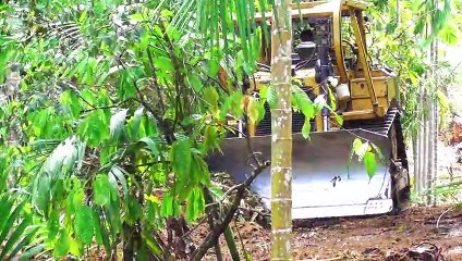 The Unstoppable Power of the D6R XL Bulldozer Pushing Big Logs