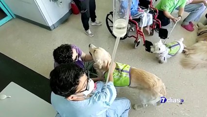 7dias-Terapeutas de cuatro patas-080523