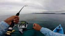 Lightning Strikes Suddenly Like an Explosion !!!  Popping Fishing in Shallow Spots Gets a Hard Pull