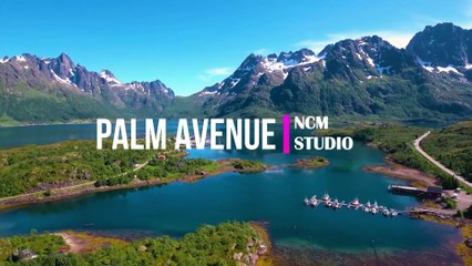 Palm Avenue - Freedom Trail Studio: Reggae Music, Happy Music, Cooking Music, Travel Music