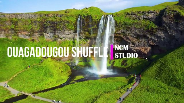 Ouagadougou Shuffle - The Mini Vandals ft Mamadou Koita and Lasso: Reggae Music, Funky Music