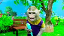 KiKi Monkey take a shower in the toilet with ducklings and go shopping M&M candy _ KUDO ANIMAL KIKI