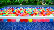 KiKi Monkey playing with ducklings in 10000 Colorful Ball Pit Balls swimming pool _ KUDO ANIMAL KIKI