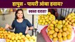 हापूस आंबा स्वस्त दरात कुठे मिळेल? | Devgad Alphonso Mango Collection | Devgad Mango Shopping | AI2