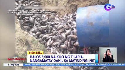 Halos 5,000 na kilo ng tilapia, nangamatay dahil sa matinding init | BT