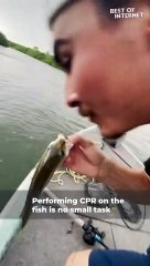 Giving CPR To Dead Fish || Best of Internet