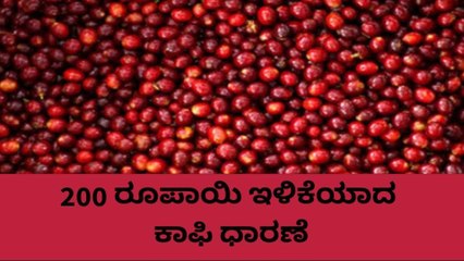 ಕೊಡಗು: ಕಾಫಿ ಧಾರಣೆಯಲ್ಲಿ ಇಳಿಕೆ..ಹೀಗಿದೆ ರೇಟ್