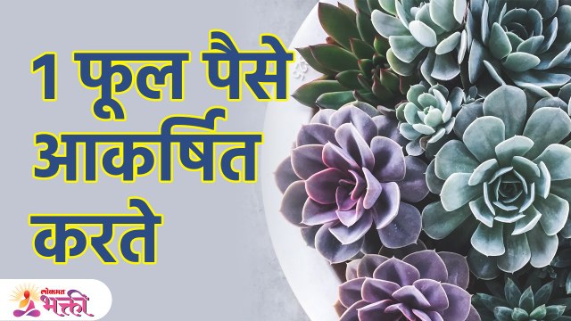 हे फुल सुगंधासोबत सुख-समृद्धी वाढवते | Vastu Tips For Money | Vastu Tips In Marathi | KA3