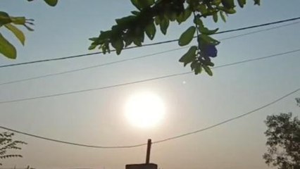 পুরুলিয়া : শেষ বৈশাখে ফুটছে পুরুলিয়া, তাপমাত্রা চরমে