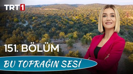 Bu Toprağın Sesi 151. Bölüm – Butı̇k Zeytı̇n Ve Zeytı̇nyağı Üretı̇mı̇nı̇n Sektöre Katkıları Nelerdı̇r?
