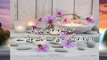 Amazing Urdu Quotes Collection | Golden Words in Urdu | Motivational Quotes