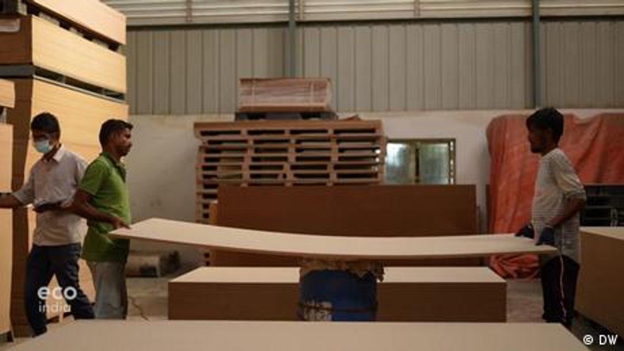 Rice Husks and India’s Plywood Industry video Dailymotion