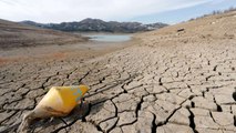 Detenidas 26 personas por supuestos delitos contra recursos naturales y medio ambiente