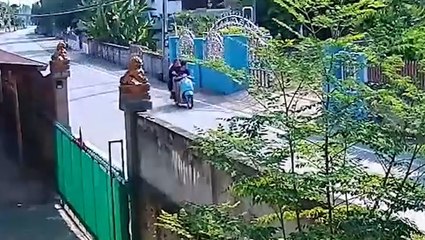 CCTV captures final sighting of British teenager found dead in Thai forest