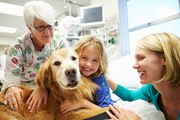 Estas Son Las Razas De Mejores Perros Para Terapia