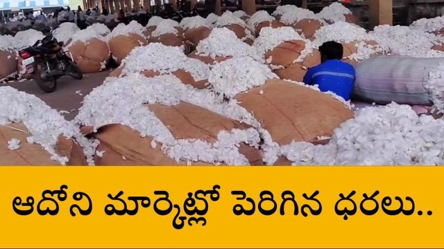 ఆదోని: పెరిగిన తెల్లబంగారం ధరలు.. క్వింటా రూ. 7700