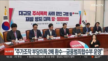 당정 "주가조작 부당이득 2배 환수…금융범죄합수부 운영"
